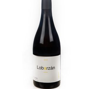 CASTRO DE LOBARZAN 2025